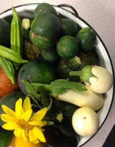 okra, cucumbers, white eggplant, sunflowers, pumpkins