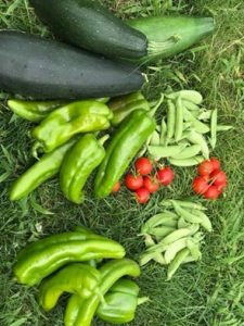 zucchini, peppers, tomatoes, peas