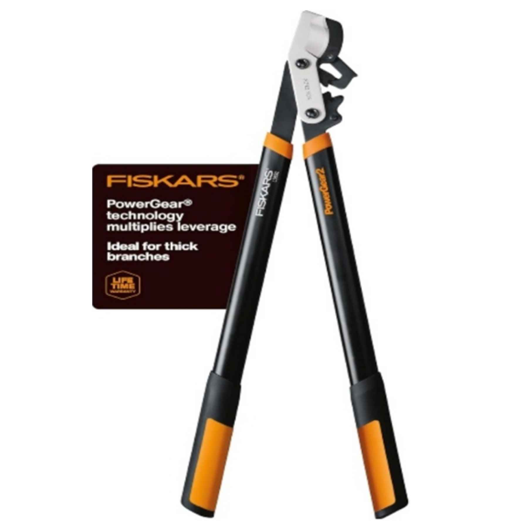 Branch Cutters