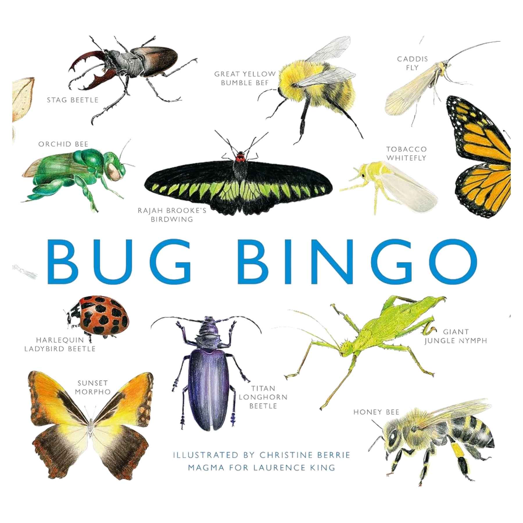 Bug Bingo