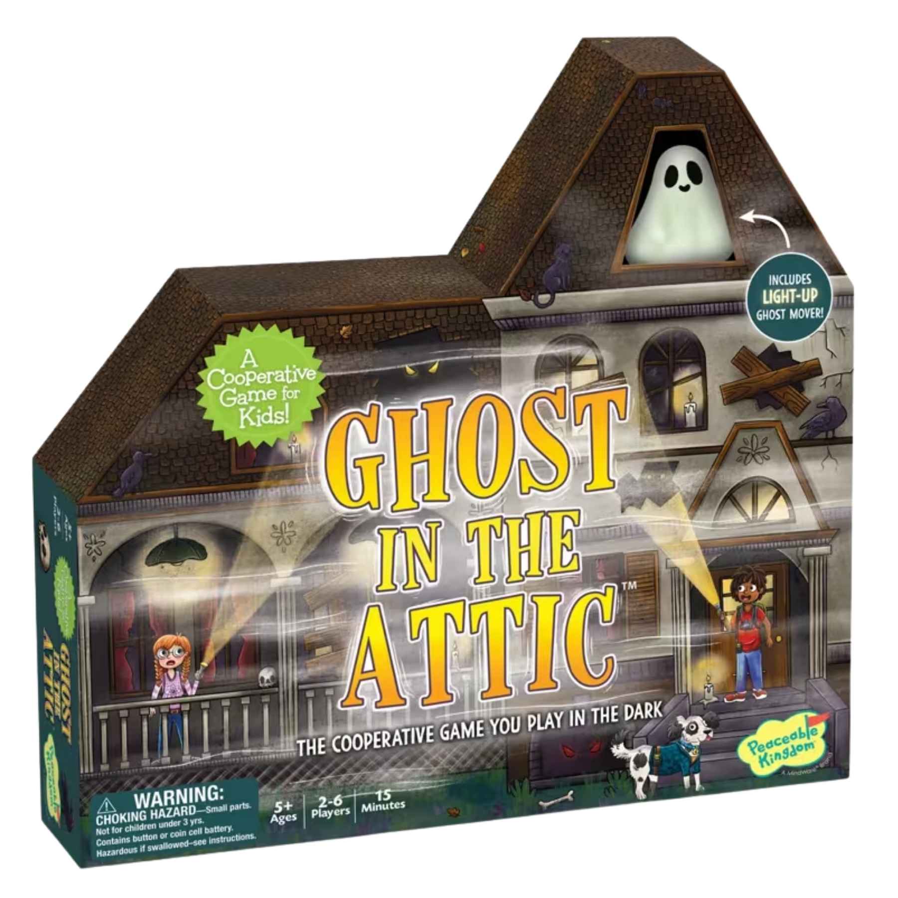 Ghost in the Attic