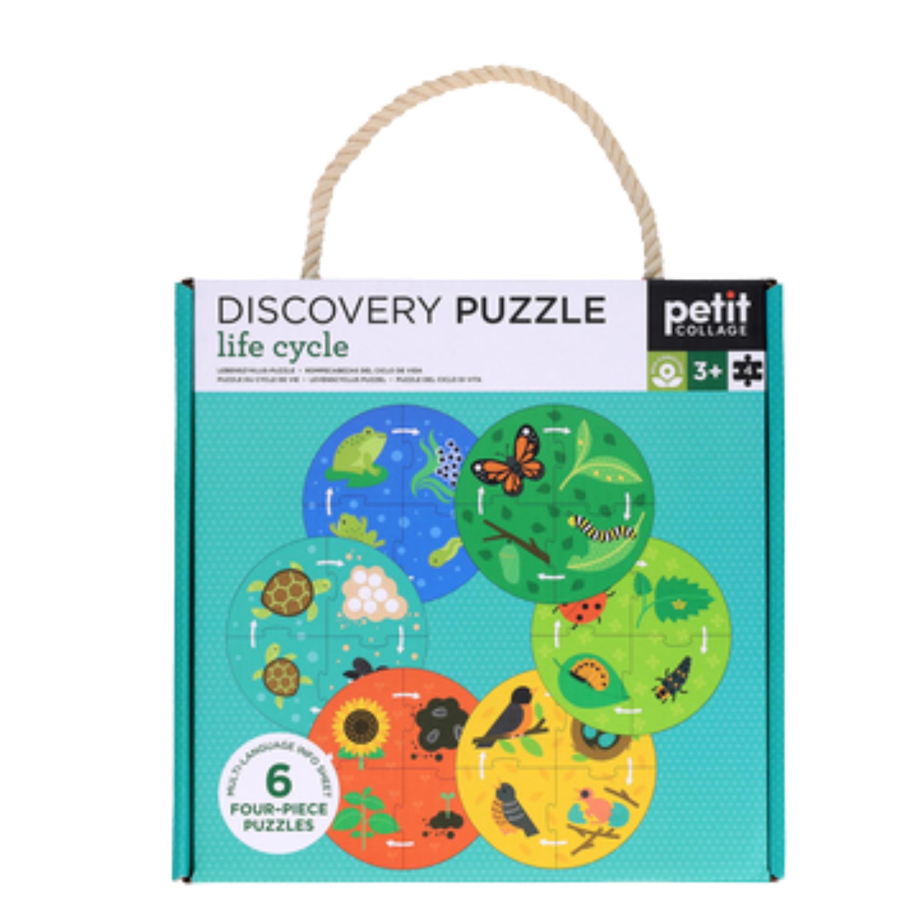 Life Cycle Puzzle