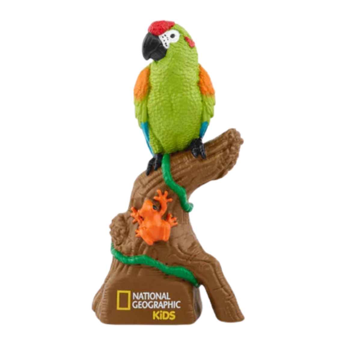 National Geographic Kids Amazon Rainforest