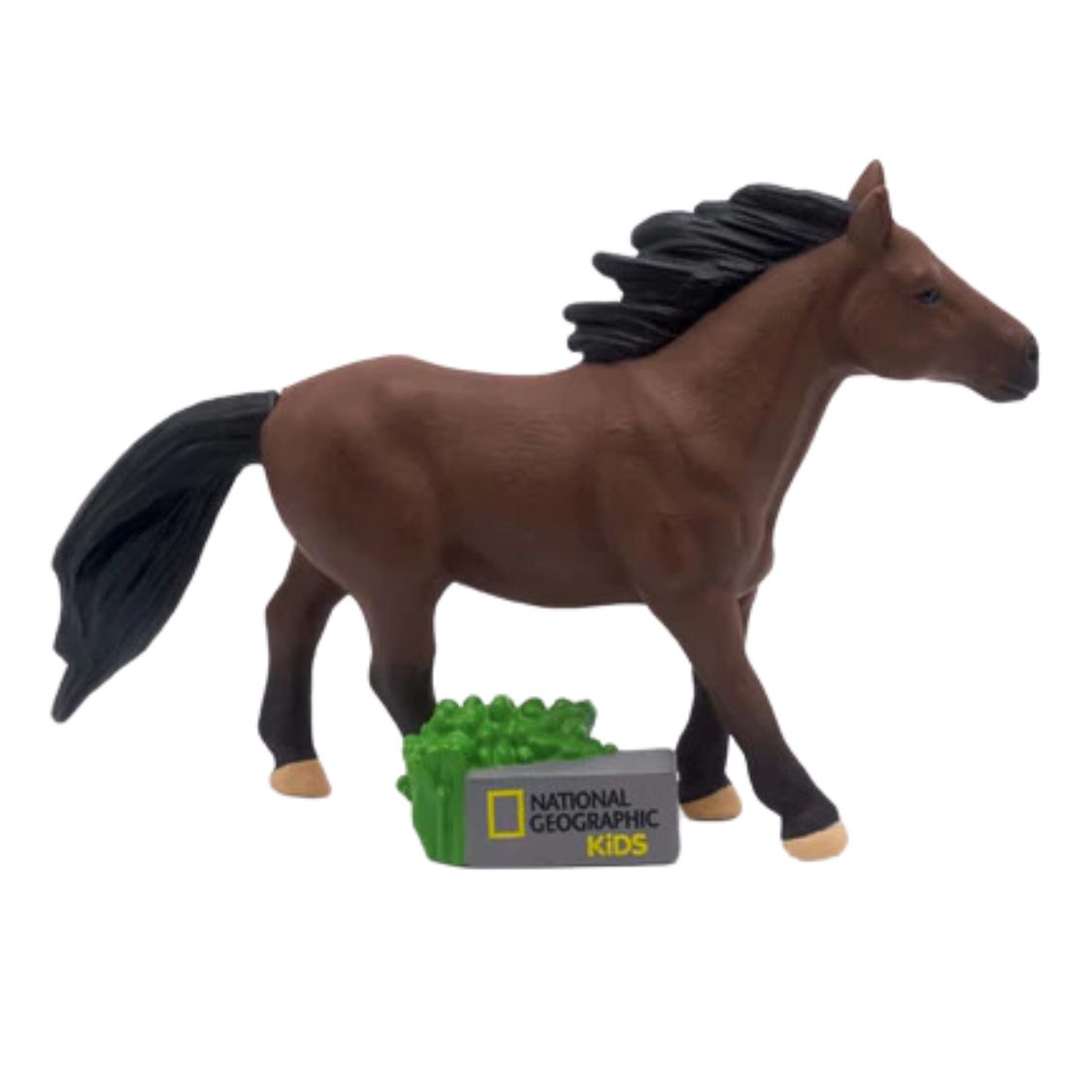 National Geographic Kids Horse