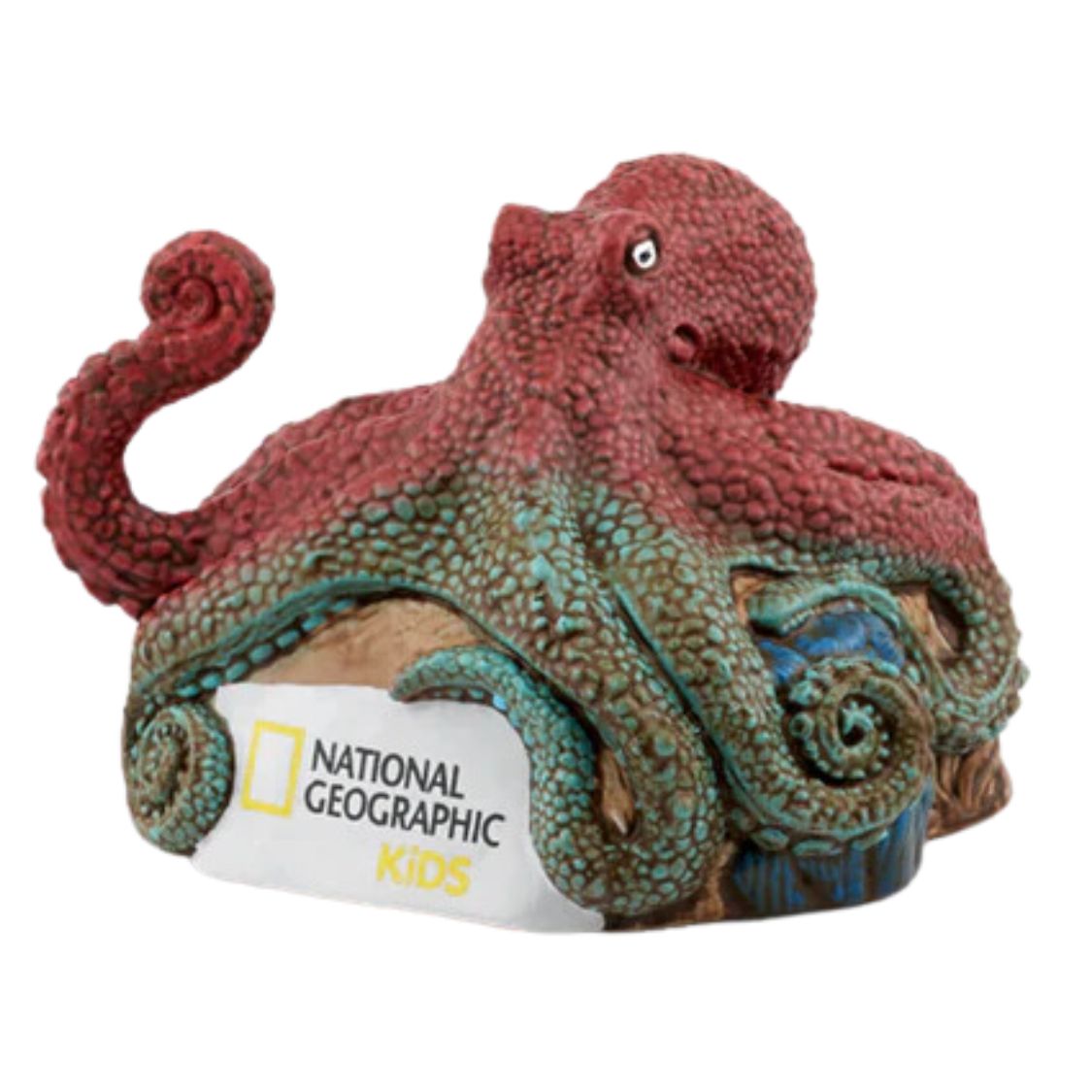 National Geographic Kids Octopus