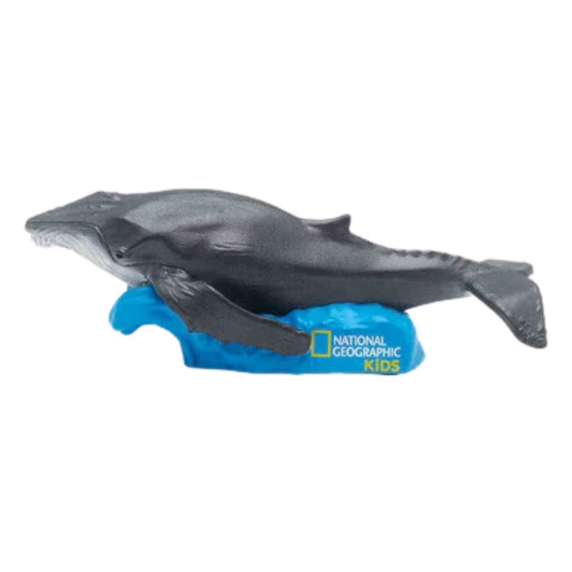 National Geographic Kids Whale