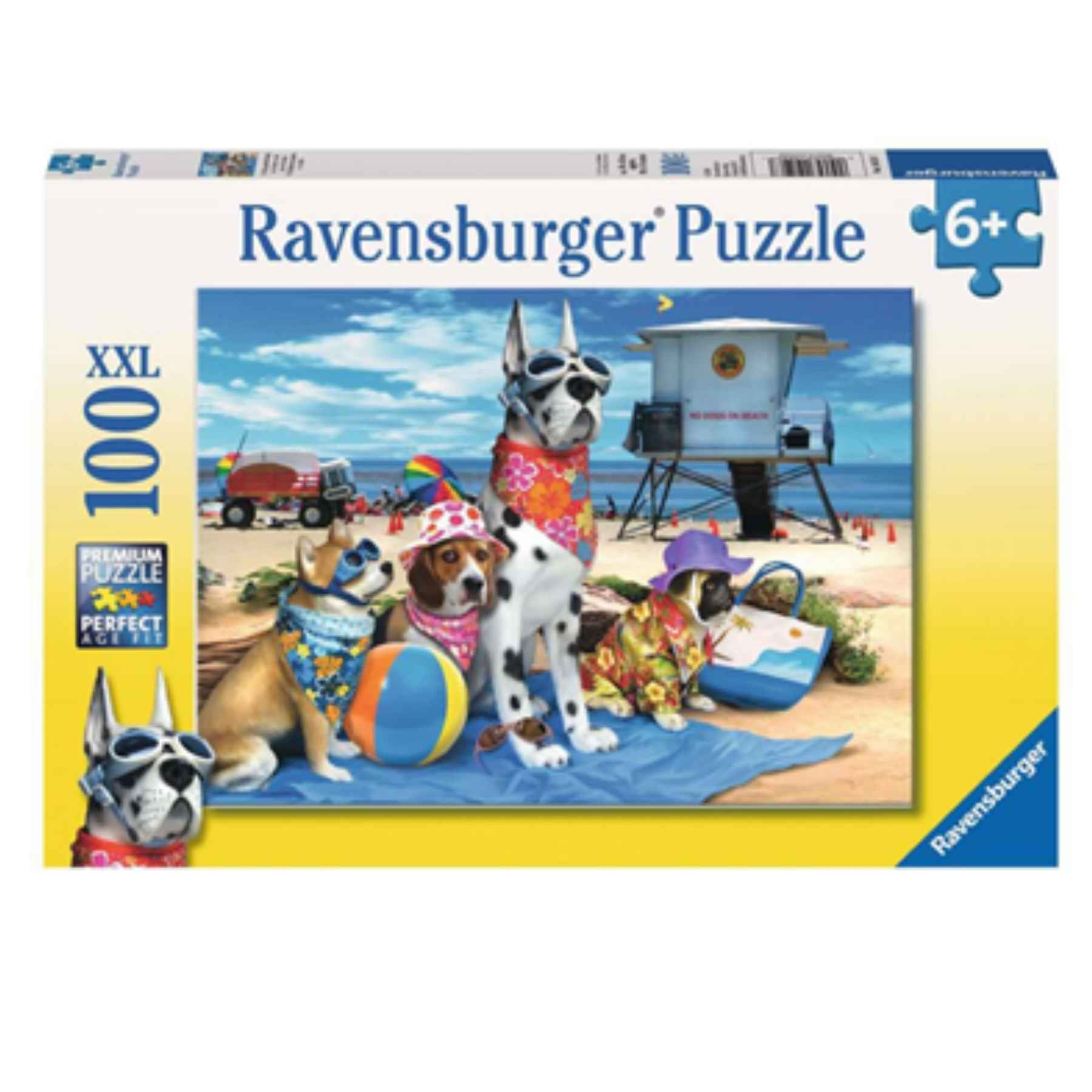 No Dogs on the Beach Puzzle