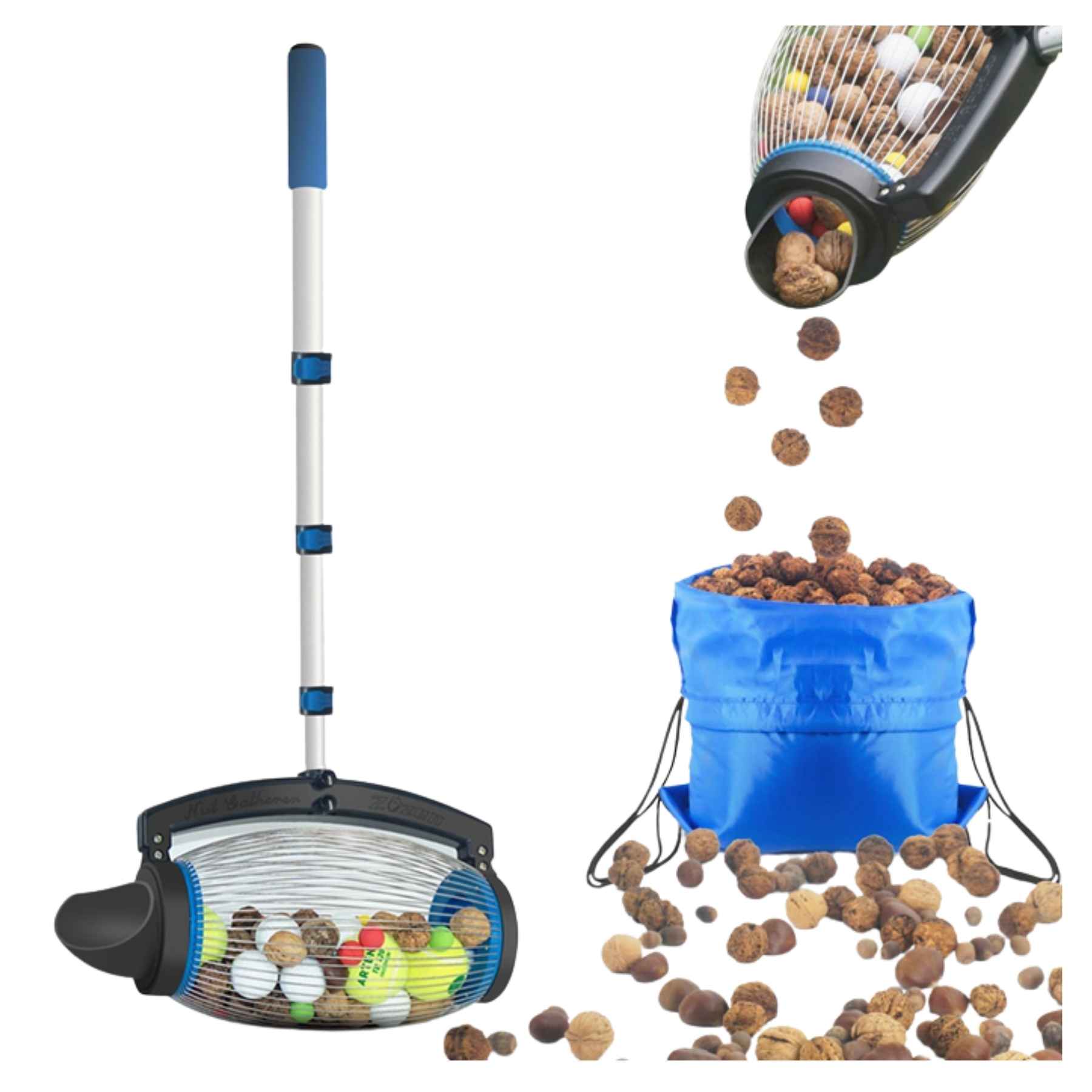 Nut Gatherer
