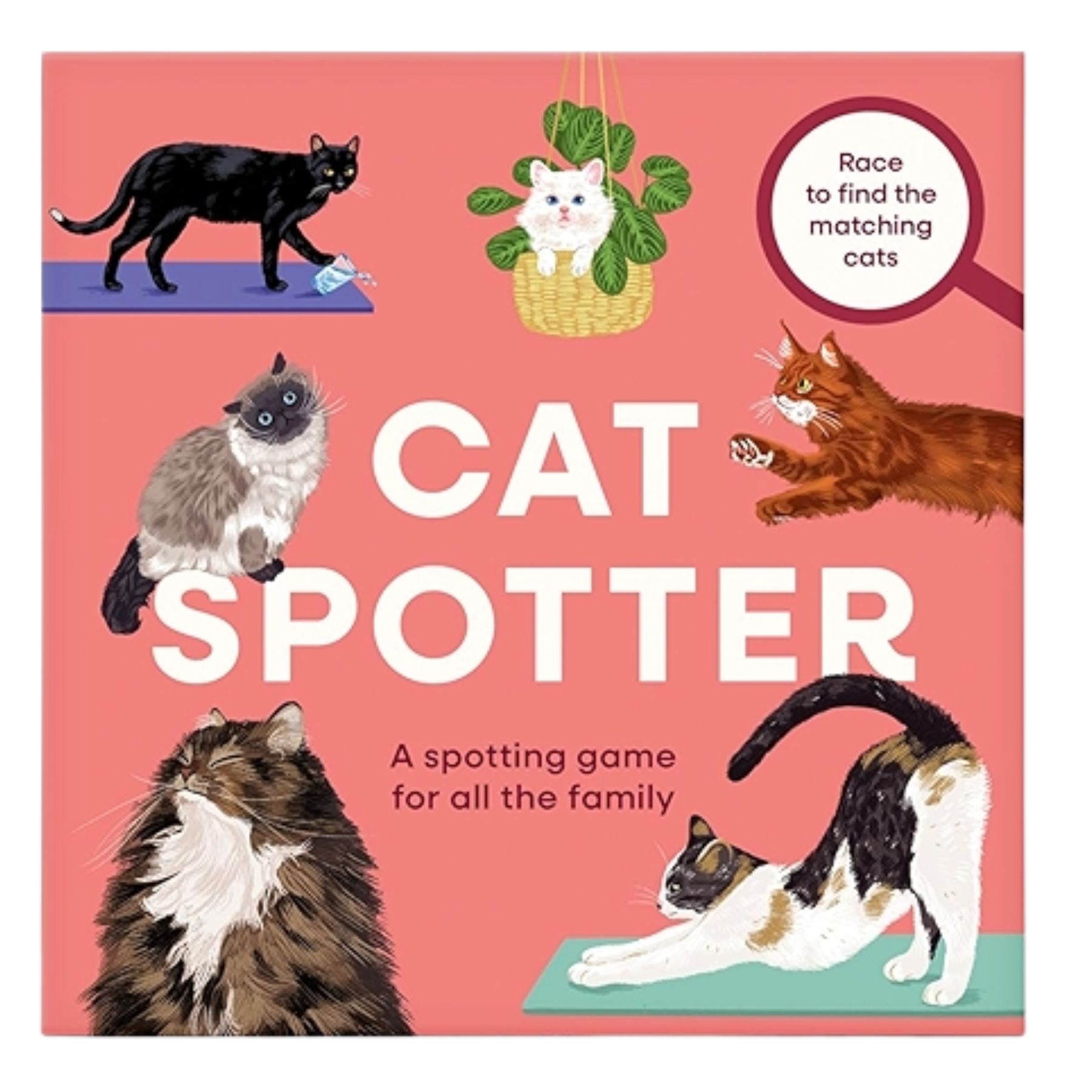 Cat Spotter