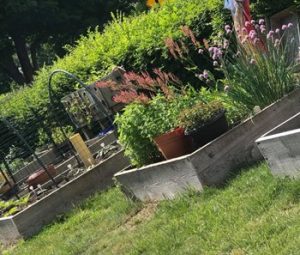 Raised Garden Beds